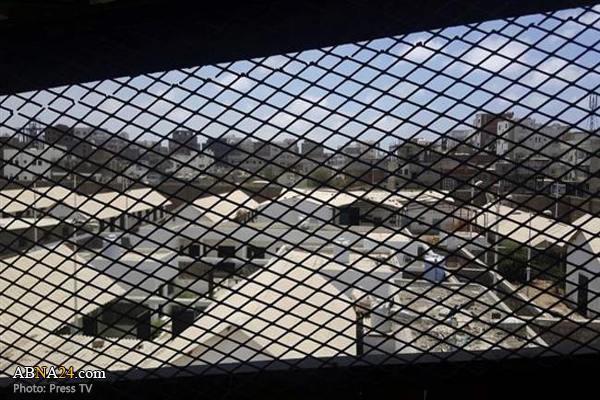 Saudi-led forces kill Yemeni captives ISIS style