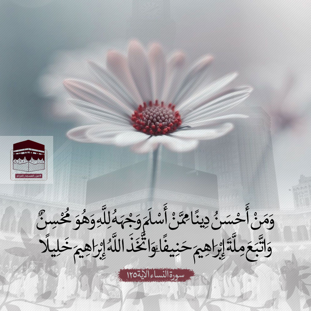 بێ شرۆڤە