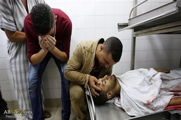 Three Palestinians martyred, 307 injured during Gaza protests / Pics