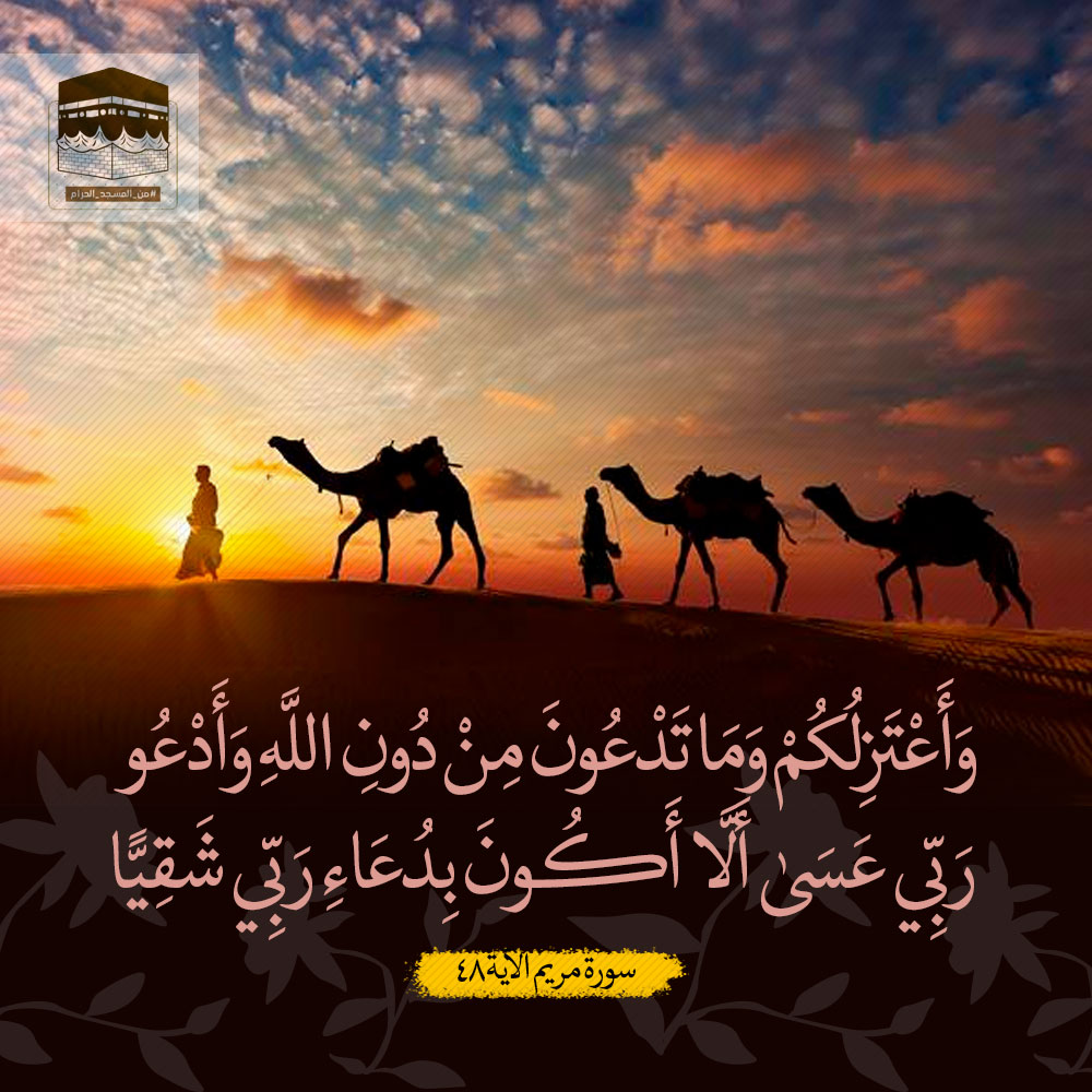 بێ شرۆڤە