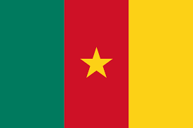 An Kai Wani Hari A Arewacin Cameroon