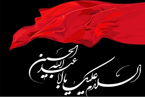 ایم ڈبلیوایم کے زیر اہتمام استقبال محرم کانفرنس کا انعقاد ، زہرانقوی کاخصوصی خطاب