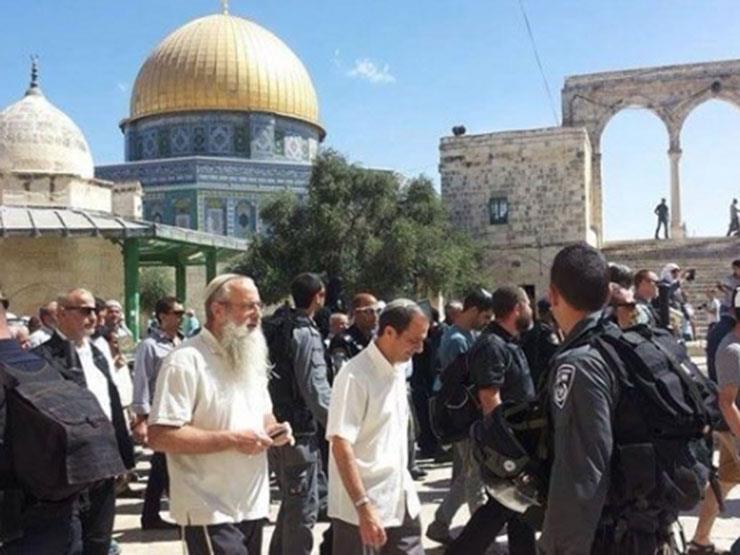187 مستوطنًا يقتحمون "المسجد الأقصى"