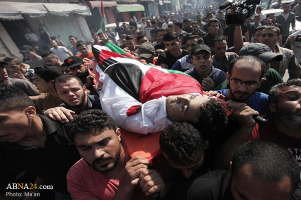 Seven Palestinians laid to rest in Gaza / Pics