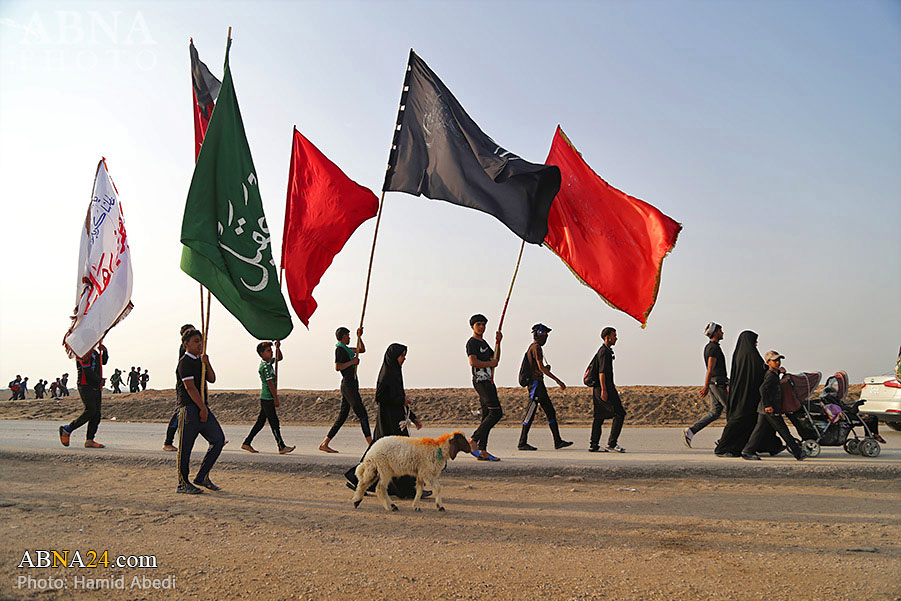 تقرير مصور/ زوار أربعينية الامام الحسين (ع) وأخيه العباس (ع)