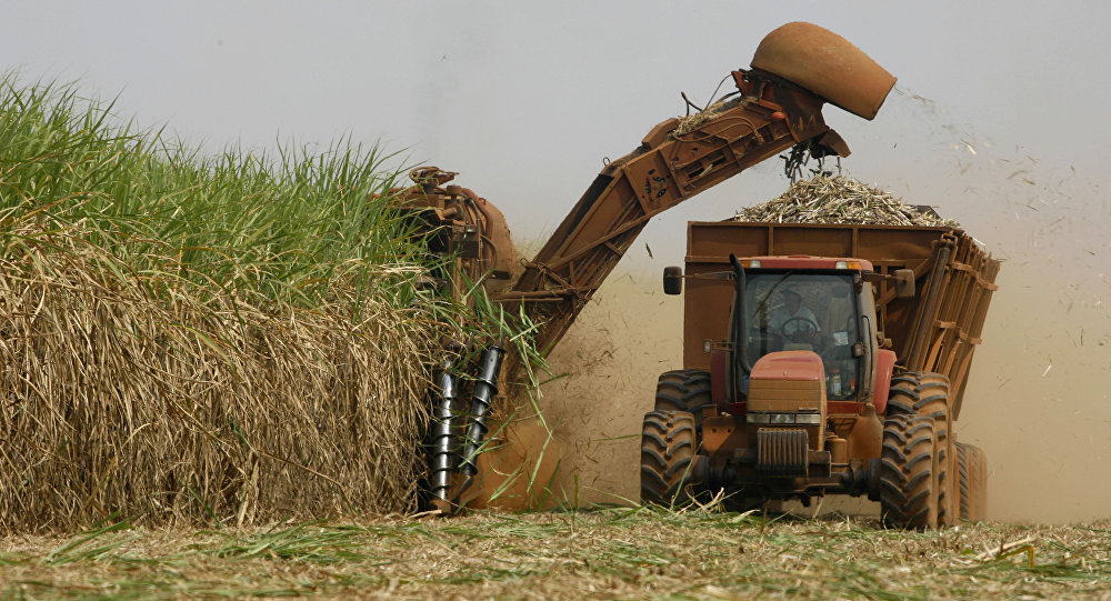Brasil e Irã desenvolvem nova estratégia de agronegócio e alavancam cooperação