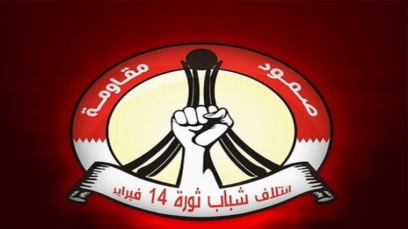 شیخ علی سلمان اور ان کے ساتھیوں کو عمر قید کی سزا دئے جانے کی مذمت