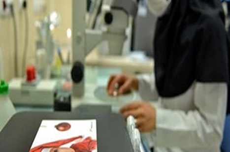 İranlı bilim adamları ''kısırlığa'' çare buldu