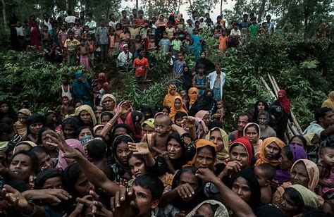 Ang Myanmar ay nagpahayag ng Pagpapauli ng Rohingya 