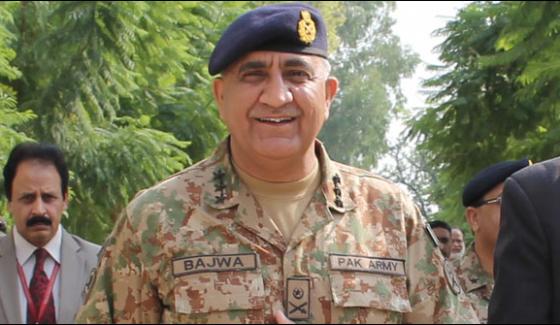 افغانستان میں قیام امن کیلئے کردار جاری رکھیں گے ، دنیا ہماری قربانیوں کو تسلیم کرے: پاکستانی آرمی چیف