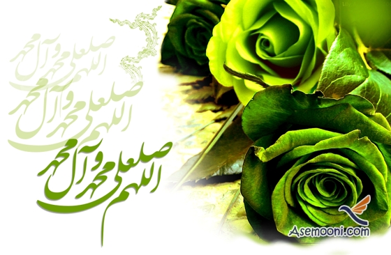 پیغمبر اسلام (ص) کی سنت کی اساس و بنیاد محبت اور رحمت پر استوار ہے
