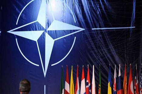 NATO Raporu: Türkiye ‘Özgür Olmayan’ Tek Üye Ülke