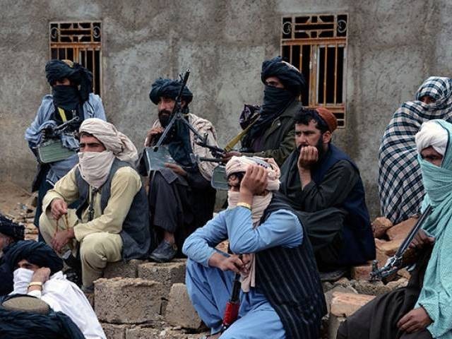 ‘American Taliban’ Dibebaskan