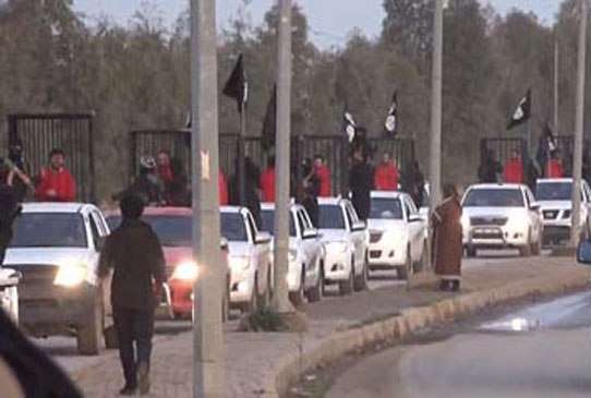 قيادي في داعش: لهذا السبب كنا نتجول بأسرى "البيشمركة" في الأقفاص 