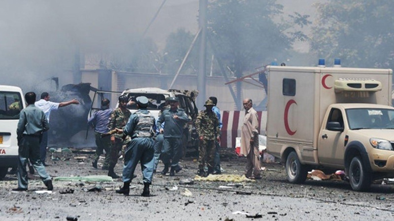 アフガン東部への多国籍軍の攻撃で、アフガン民間人８名が死亡