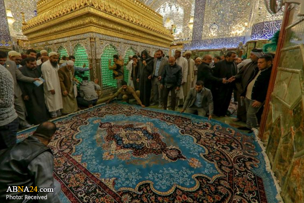 تقرير مصور/ العتبة العلوية المقدسة تباشر بفرش الحرم المطهر باجود أنواع السجاد الطبيعي