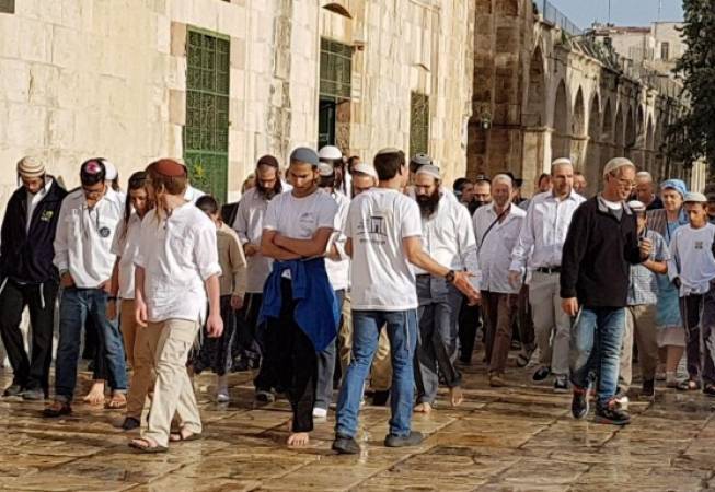 مستوطنون صهاينة يقتحمون "المسجد الاقصى" بحماية قوات العدو الاسرائيلي
