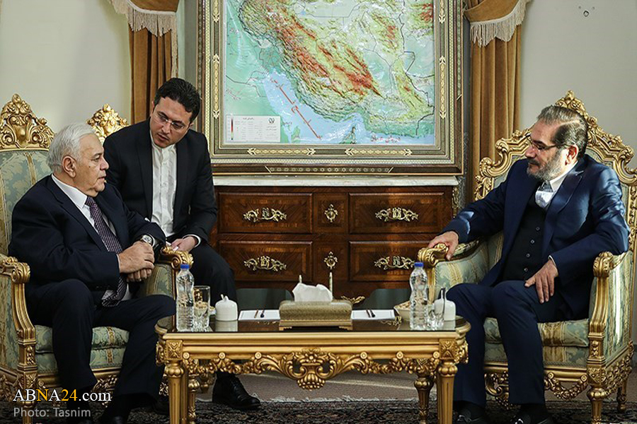 Iran's Shamkhani: Some states sell their security to transregional powers
