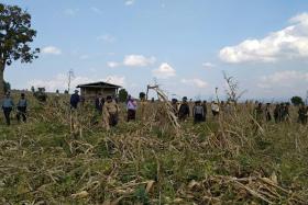 ရပ္ေစာက္ကေလးေပ်ာက္မႈ ရဲႏွင့္ျပည္သူ႔စစ္ ဝိုင္းဝန္းရွာေဖြ