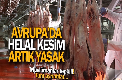 Avrupa'da helal kesim yasağı başladı