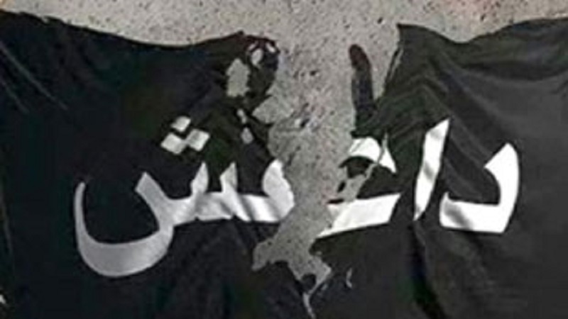 کشمیری قوم داعش کے تکفیری فکر و نظریات سے ہم آہنگی کا تصور بھی نہیں کرسکتے : آغا سید حسن