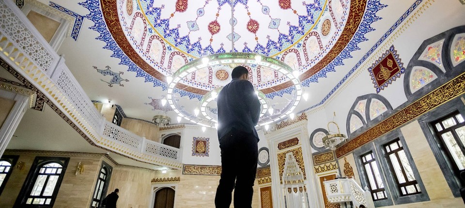 Reingequatsche