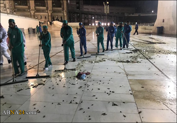 أعداد كبيرة من الحشرات تغزو الحرم المكي