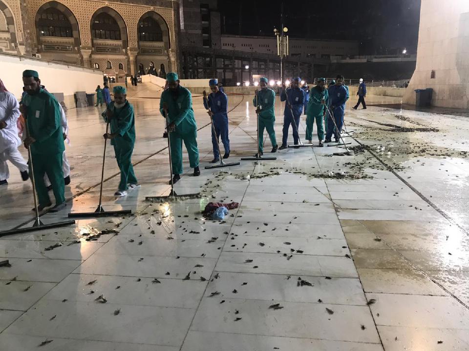 Makkah `Diserang' Ribuan Cengkerik