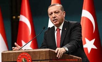 Erdogan: Ang seguridad ay maganap sa Hilagang Syria 