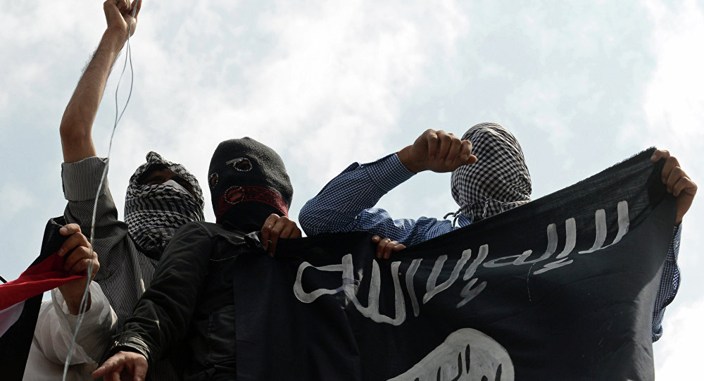 General dos EUA indica quanto falta para exterminar Daesh da Síria