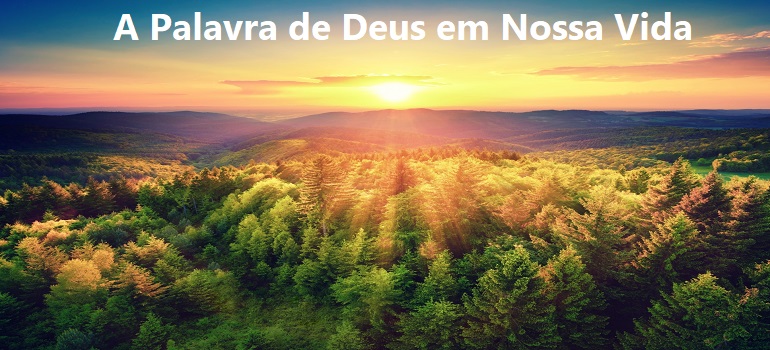 A Palavra de Deus em Nossa Vida