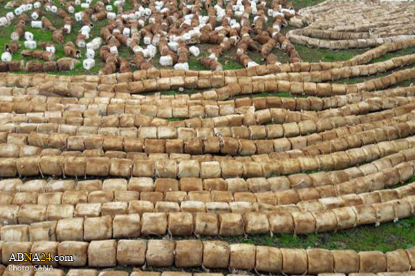 Syrian forces find 8 tons of C4 left behind by terrorists / Pics