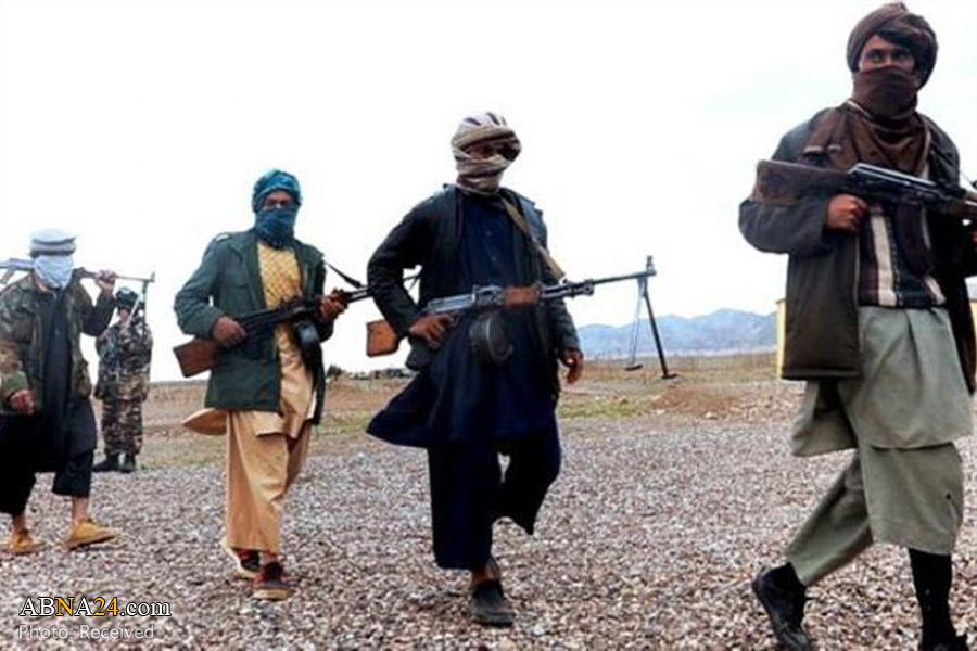350 Taliban members killed in one week