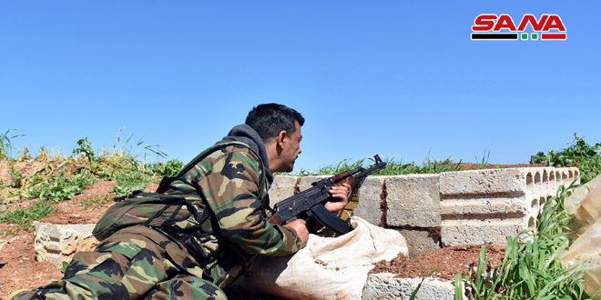 Destruction de véhicules et de caches des terroristes dans la banlieue de Hama