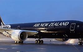 Pasahero Sinusubukang Magdala ng mga Rifle Sa Sasakyang Panghimpapawid ng New Zealand 