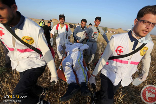 WHO calls for protection of health workers, facilities in Gaza