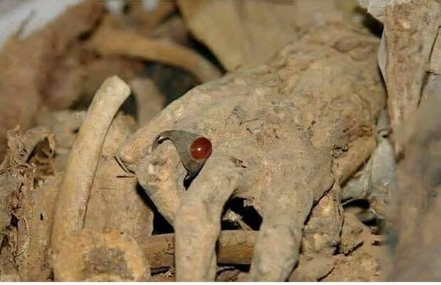  ۳۰۰ ناوچەی عێراق گۆری بەکۆمەڵی کوردی تێدایە