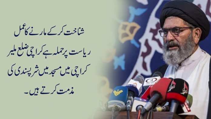 علامہ سید ساجد علی نقوی : شناخت کرکے مارنے کا عمل ریاست پر حملہ ہے 