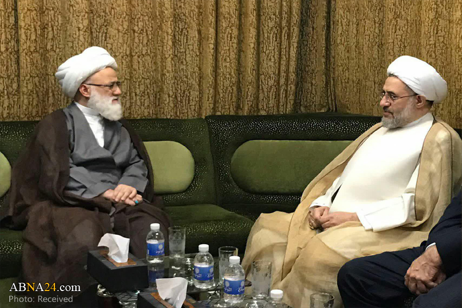 Ayatollah Araki met source of emulation in Najaf