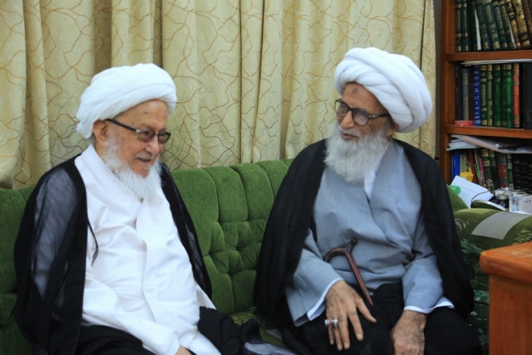 آية الله النجفي يزور مراجع الدين في العراق
