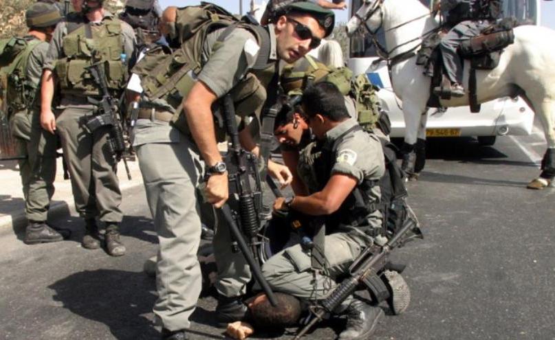 العدو الصهيوني يعتقل 10 فلسطينيين بينهم 4 أطفال