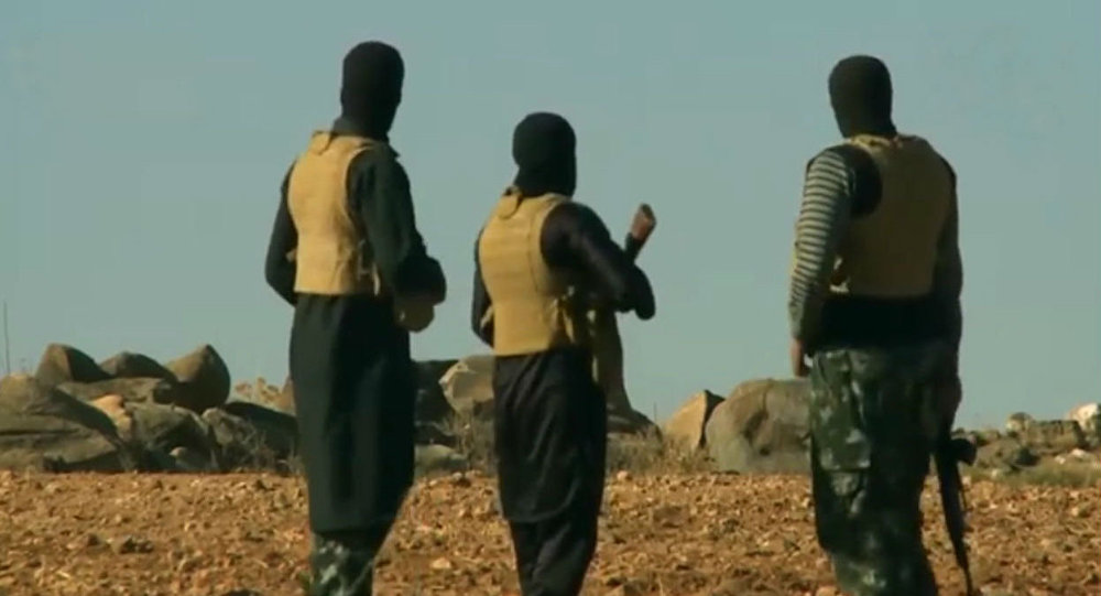 Número de terroristas do Daesh no Afeganistão triplicou desde 2016
