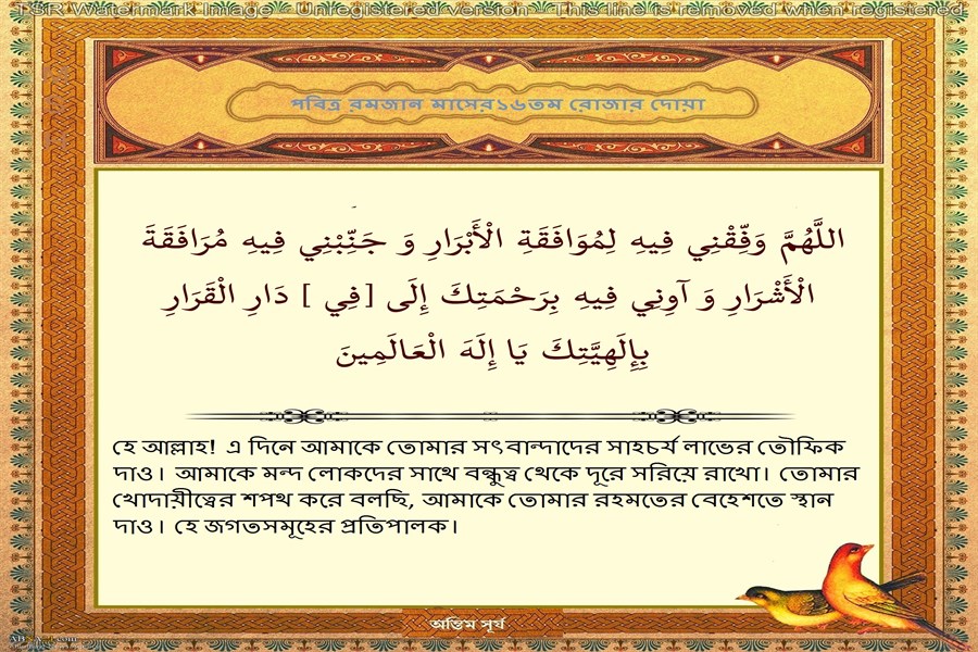 পবিত্র রমজান মাসের ১৬তম দিনের দোয়া