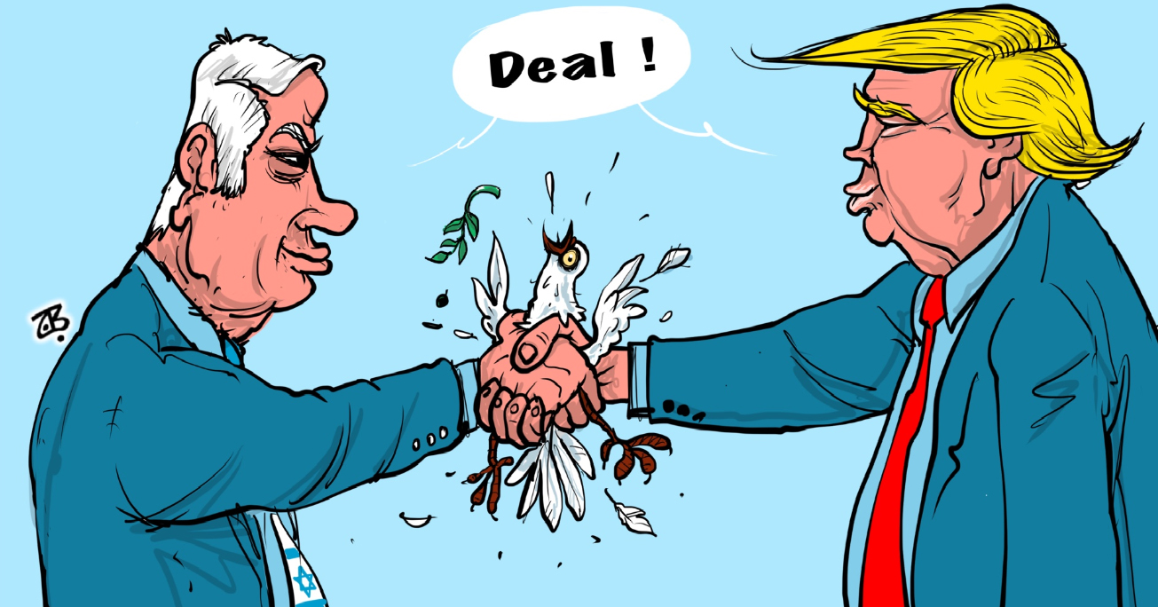 صدی کی ڈیل کا تحقیقاتی جائزہ
