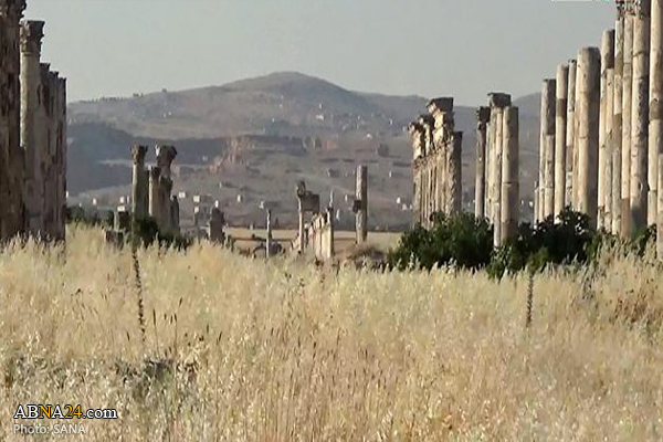 Terrorists sabotage several landmarks of ancient city of Apamea in Syria's Hama