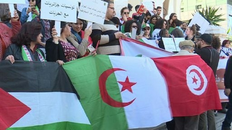 Algeria annulla elezioni presidenziali