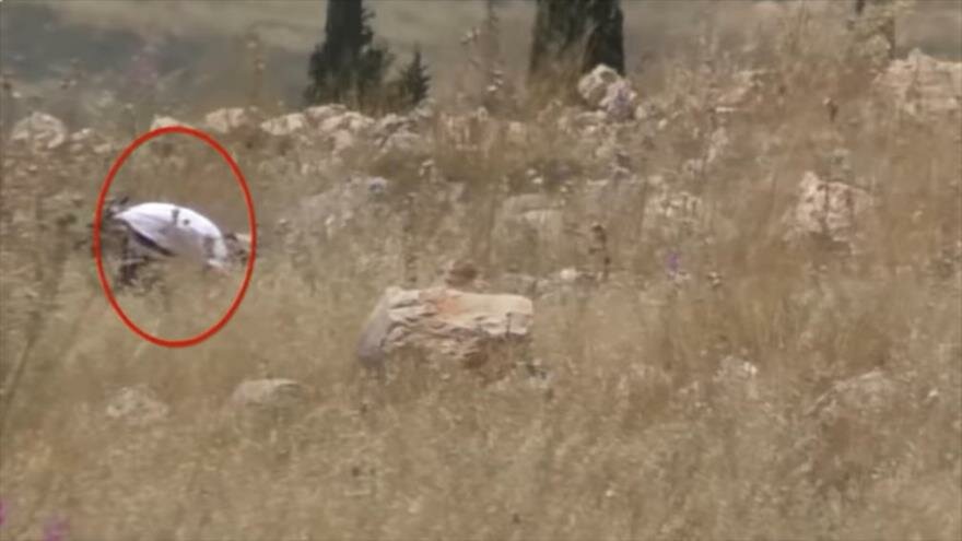 Des Israéliens mettent le feu à des terres agricoles dans le Golan en Syrie