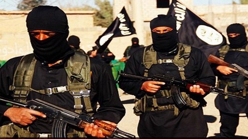 Belgio rimpatria 6 orfani figli di 'fighter'
