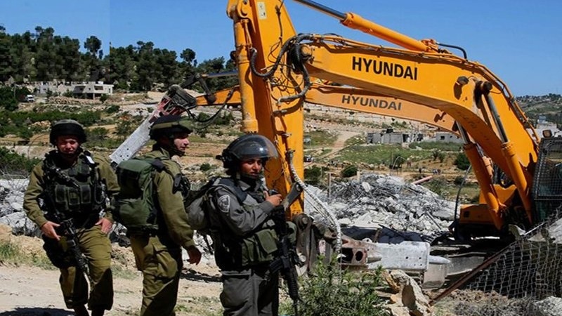 Bulldozer sionisti radono al suolo terre palestinesi