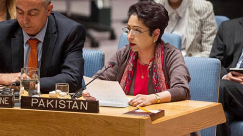 پاکستان امریکہ کا تجویز کردہ مسئلہ فلسطین کا حل مسترد کرتاہے. ڈاکٹر ملیحہ لودھی
